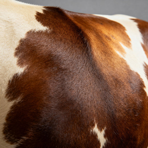 Why Cowhide Rugs Are Worth Every Dollar (And Cost Less Than You Think)