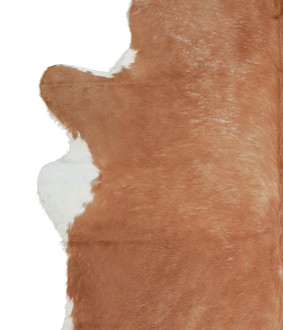 Brown and White Regular XX-Large Brazilian Cowhide Rug 7'11"H x 6'7"W