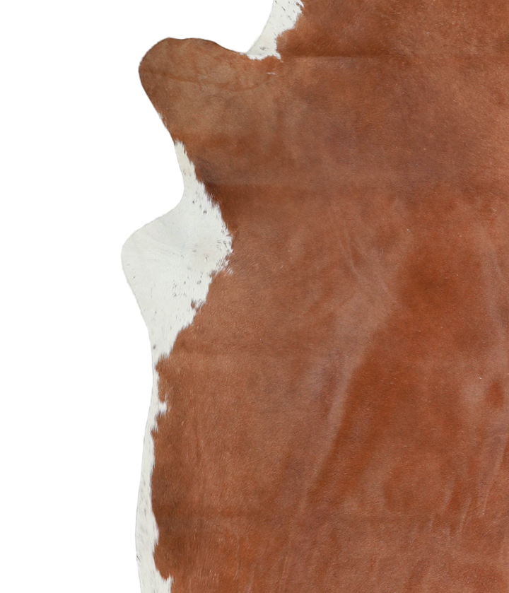 Brown and White Regular X-Large Brazilian Cowhide Rug 7'6"H x 6'4"W #A20586 by Hudson Hides