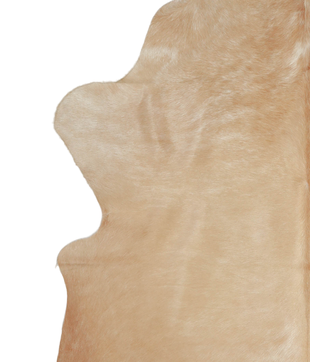 Beige XX-Large Brazilian Cowhide Rug 7'11"H x 6'5"W #A20600 by Hudson