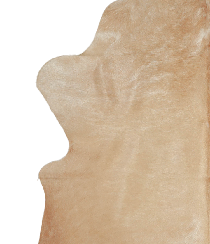 Beige XX-Large Brazilian Cowhide Rug 7'11"H x 6'5"W #A20600 by Hudson Hides