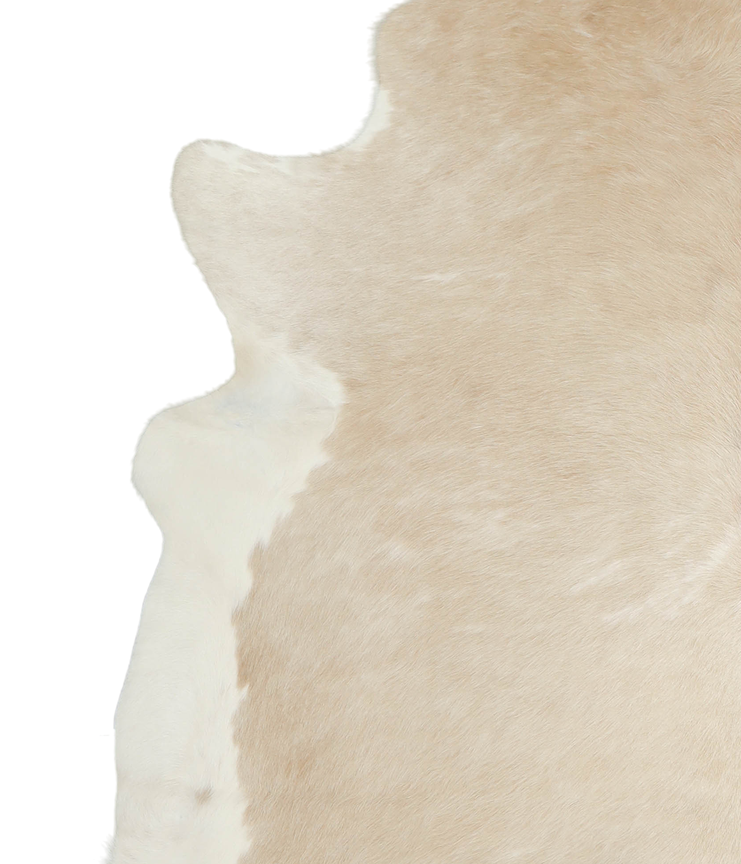 Beige and White XX-Large Brazilian Cowhide Rug 7'4"H x 6'9"W #A20777 b