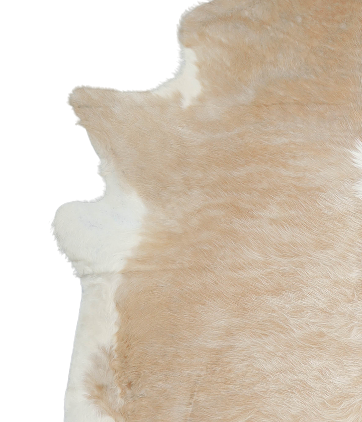 Beige and White XX-Large Brazilian Cowhide Rug 7'10"H x 6'11"W #A20798 by Hudson Hides