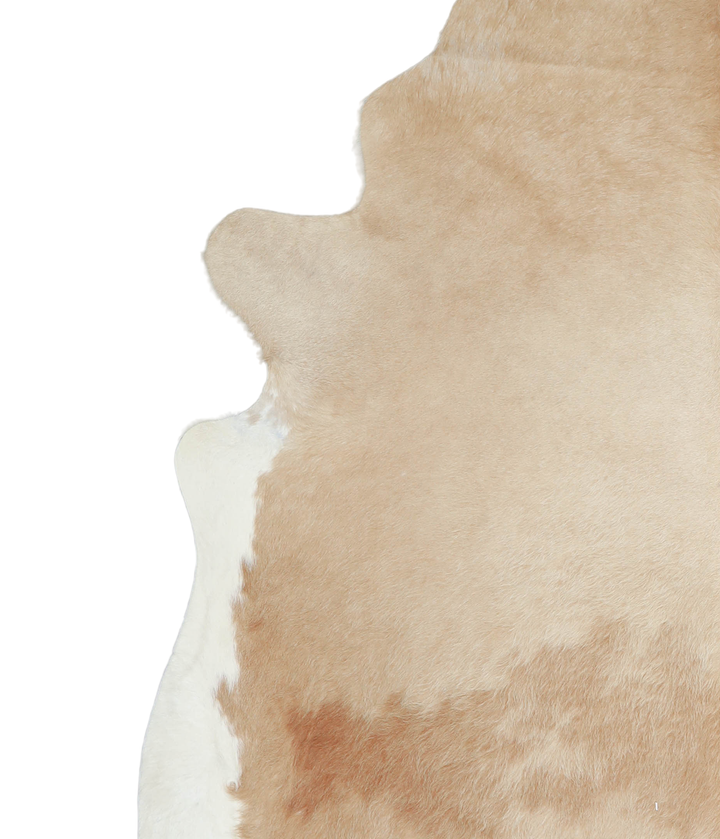 Beige and White XX-Large Brazilian Cowhide Rug 8'1"H x 7'7"W #A20891 by Hudson Hides