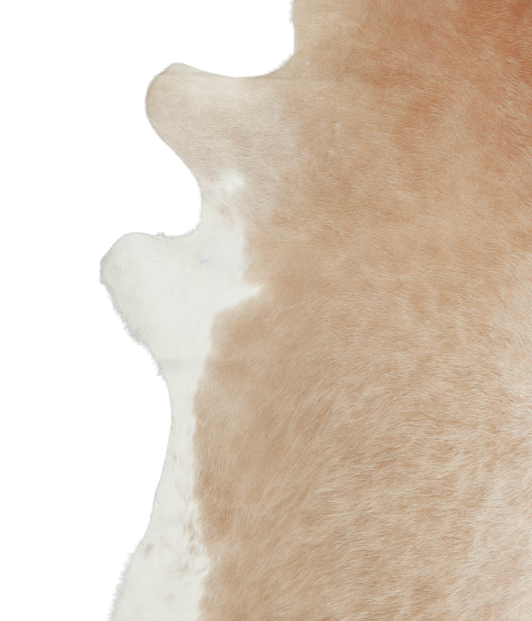 Beige and White XX-Large Brazilian Cowhide Rug 7'7"H x 6'10"W #A21009
