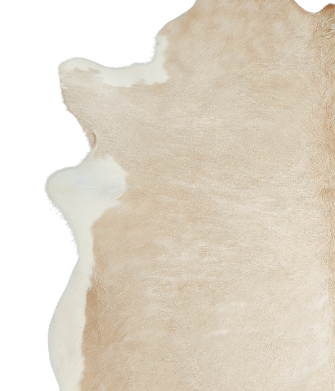 Beige and White XX-Large Brazilian Cowhide Rug 7'10"H x 6'9"W #A21029