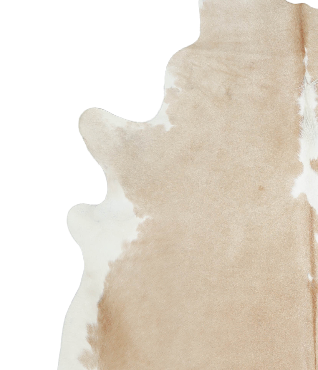 Beige and White XX-Large Brazilian Cowhide Rug 7'10"H x 7'0"W #A21035