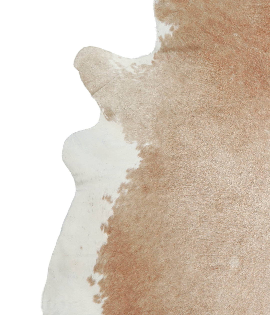 Beige and White XX-Large Brazilian Cowhide Rug 7'3"H x 7'0"W #A21228 b