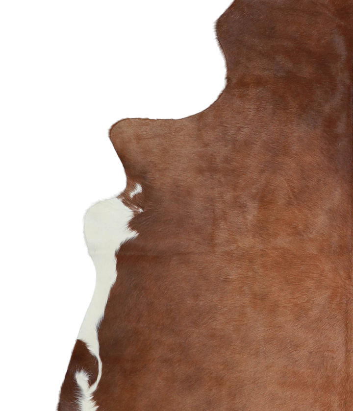 Brown and White Regular X-Large Brazilian Cowhide Rug 7'6"H x 6'6"W #A21279 by Hudson Hides
