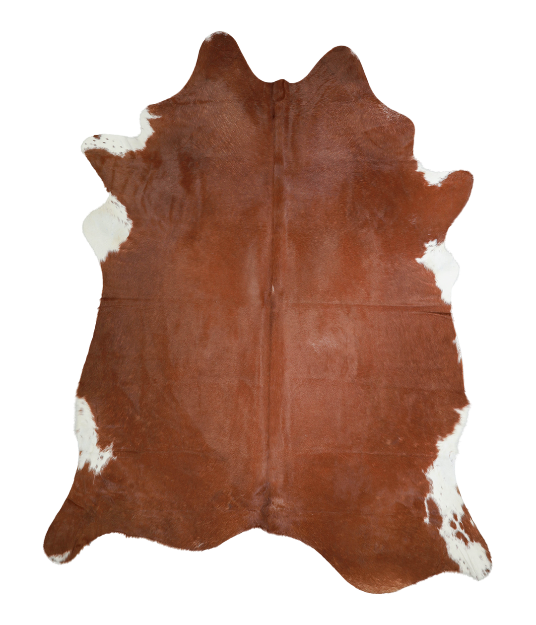 Brown and White Regular XX-Large Brazilian Cowhide Rug 8'6"H x 6'9"W #