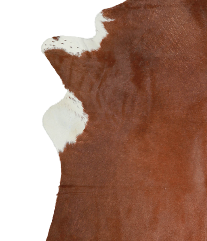Brown and White Regular XX-Large Brazilian Cowhide Rug 8'6"H x 6'9"W #A21298 by Hudson Hides
