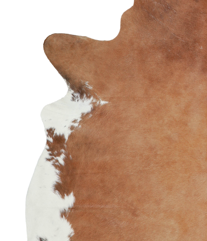 Brown and White Regular X-Large Brazilian Cowhide Rug 6'9"H x 6'4"W #A21336 by Hudson Hides