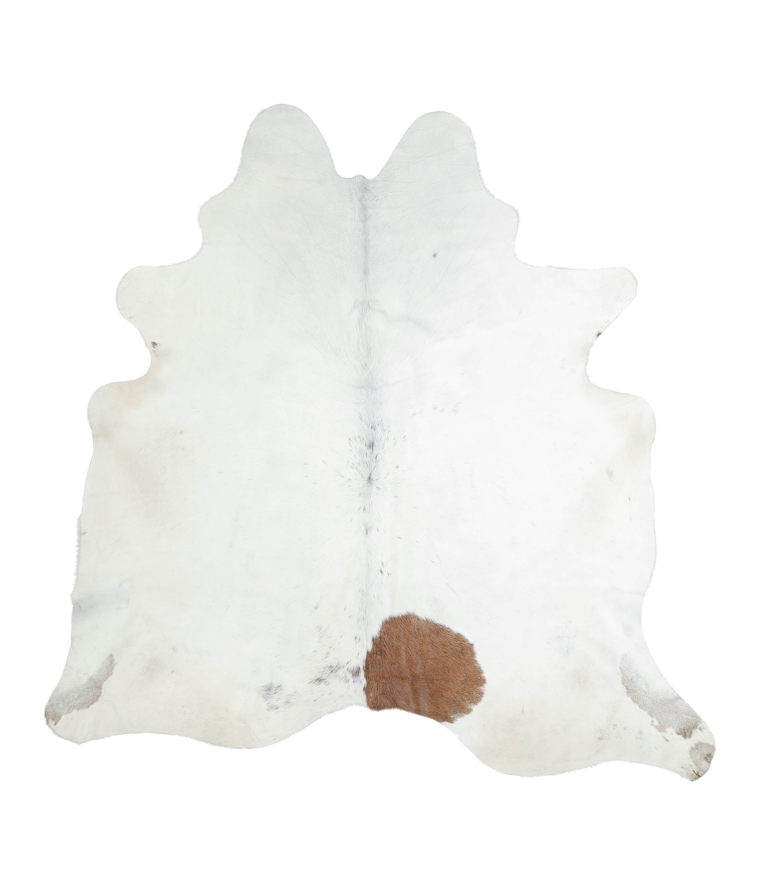 Brown and White Regular XX-Large Brazilian Cowhide Rug 7'3"H x 7'1"W #