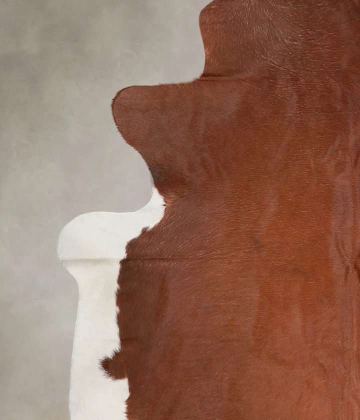 Brown and White Regular XX-Large Brazilian Cowhide Rug 7'11"H x 7'4"W #A22112 by Hudson Hides