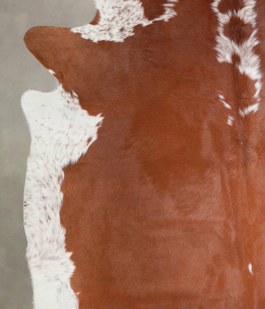Brown and White Regular XX-Large Brazilian Cowhide Rug 7'8"H x 7'8"W #