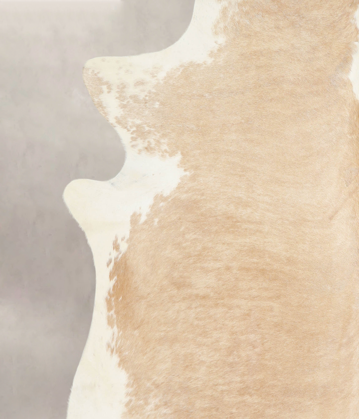 Beige and White XX-Large Brazilian Cowhide Rug 7'5"H x 7'0"W #A23029 by Hudson Hides