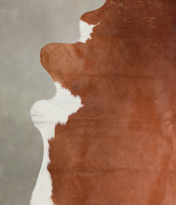 Brown and White Regular XX-Large Brazilian Cowhide Rug 7'11"H x 7'2"W #A23889 by Hudson Hides