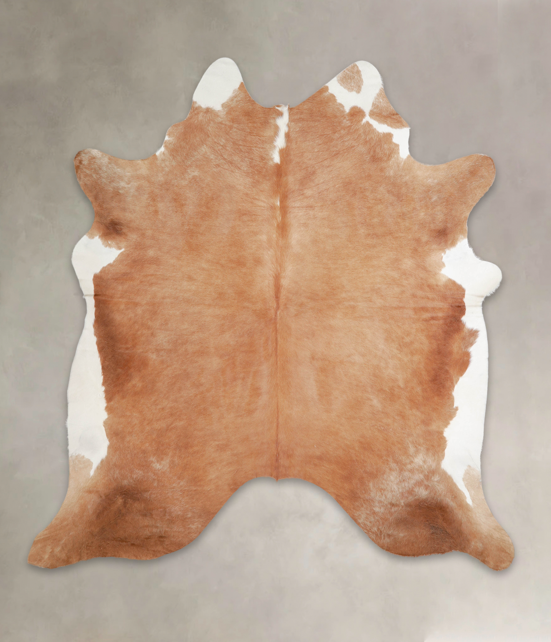 Brown and White Regular Cowhide Rug #A24265