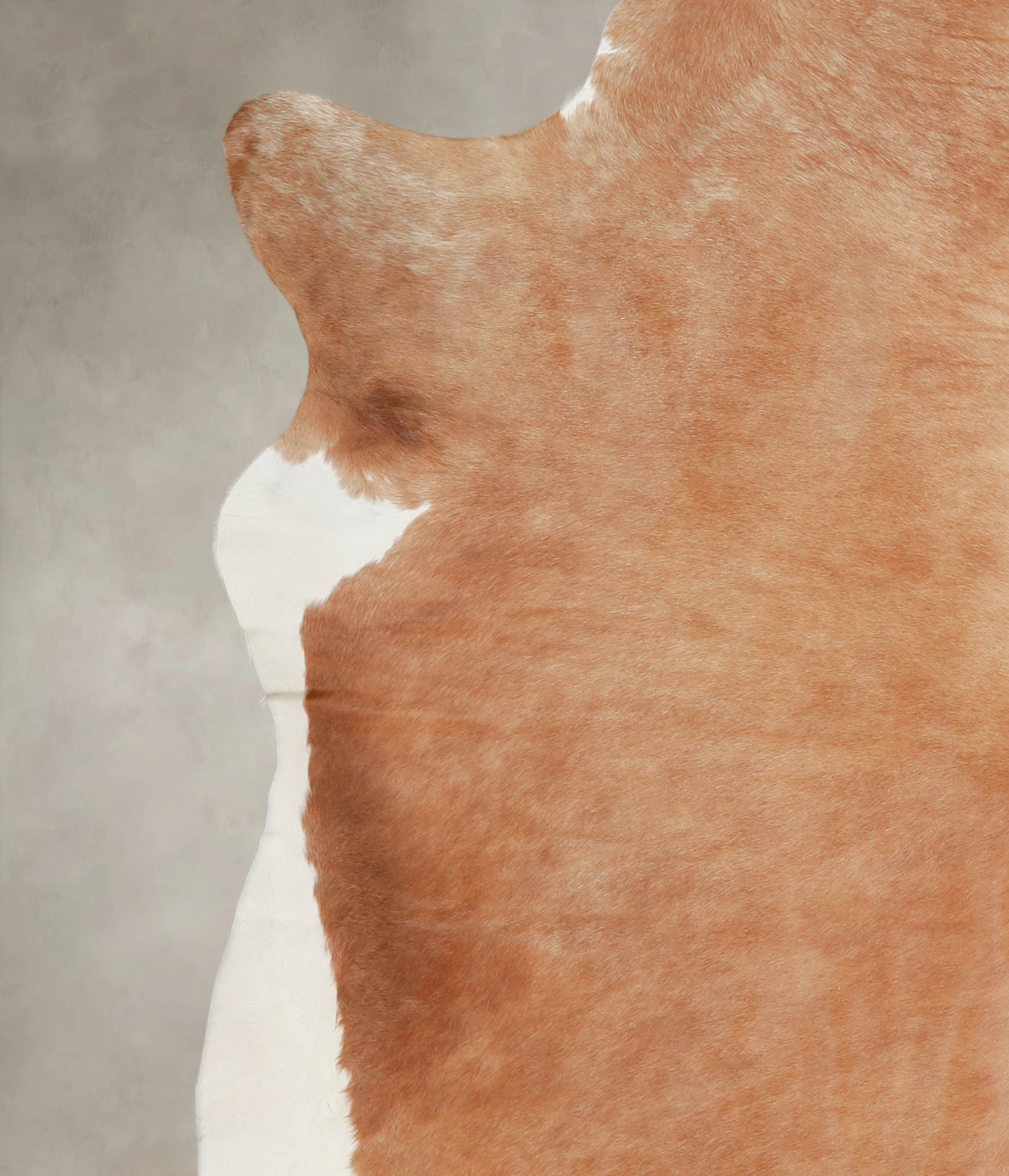Brown and White Regular Cowhide Rug #A24265