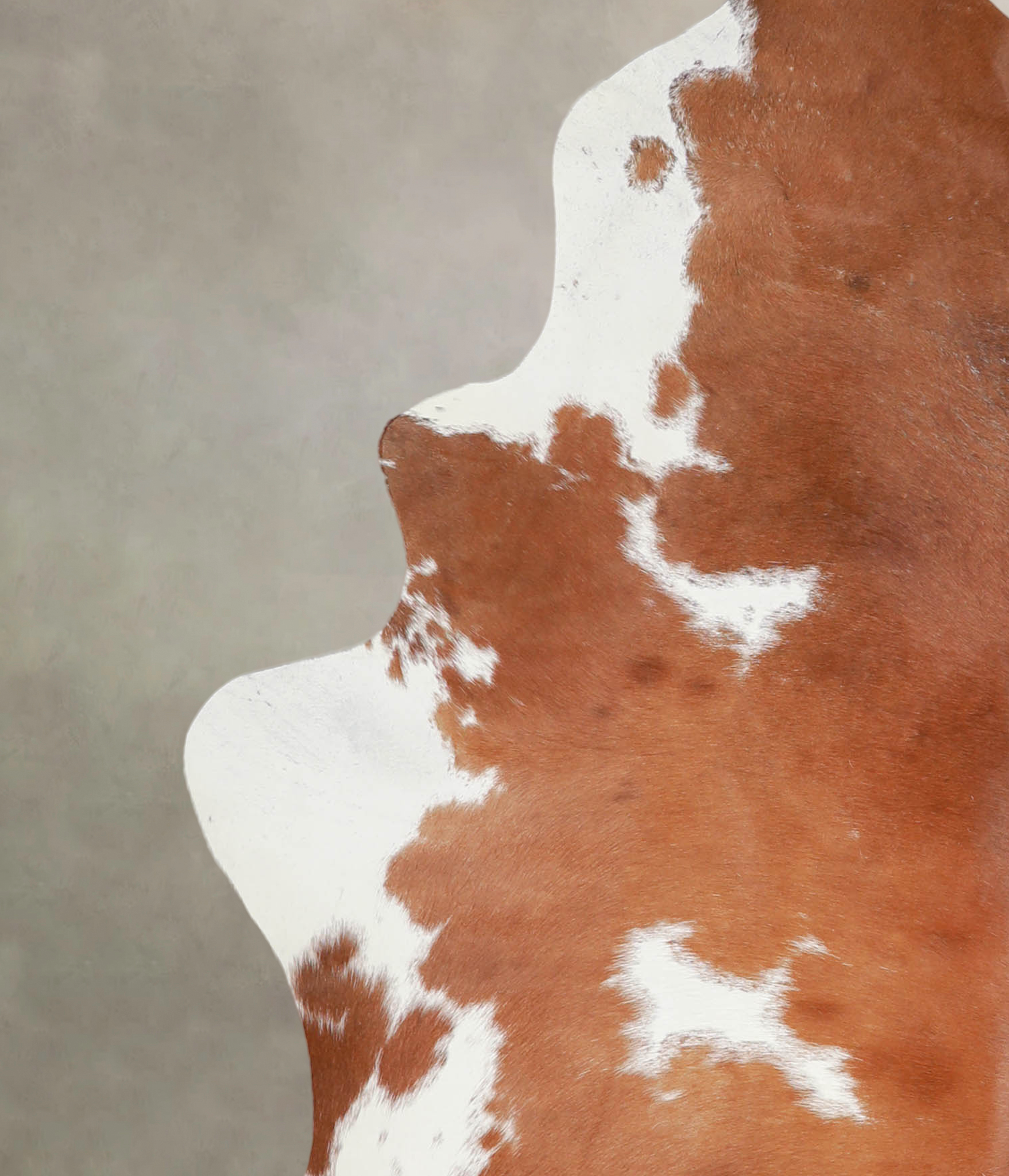 Brown and White Cowhide Rug #A24292