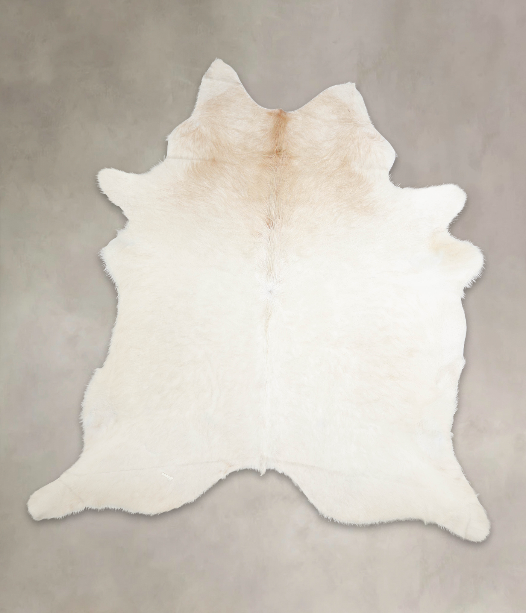 Ivory with Beige Cowhide Rug #A24308
