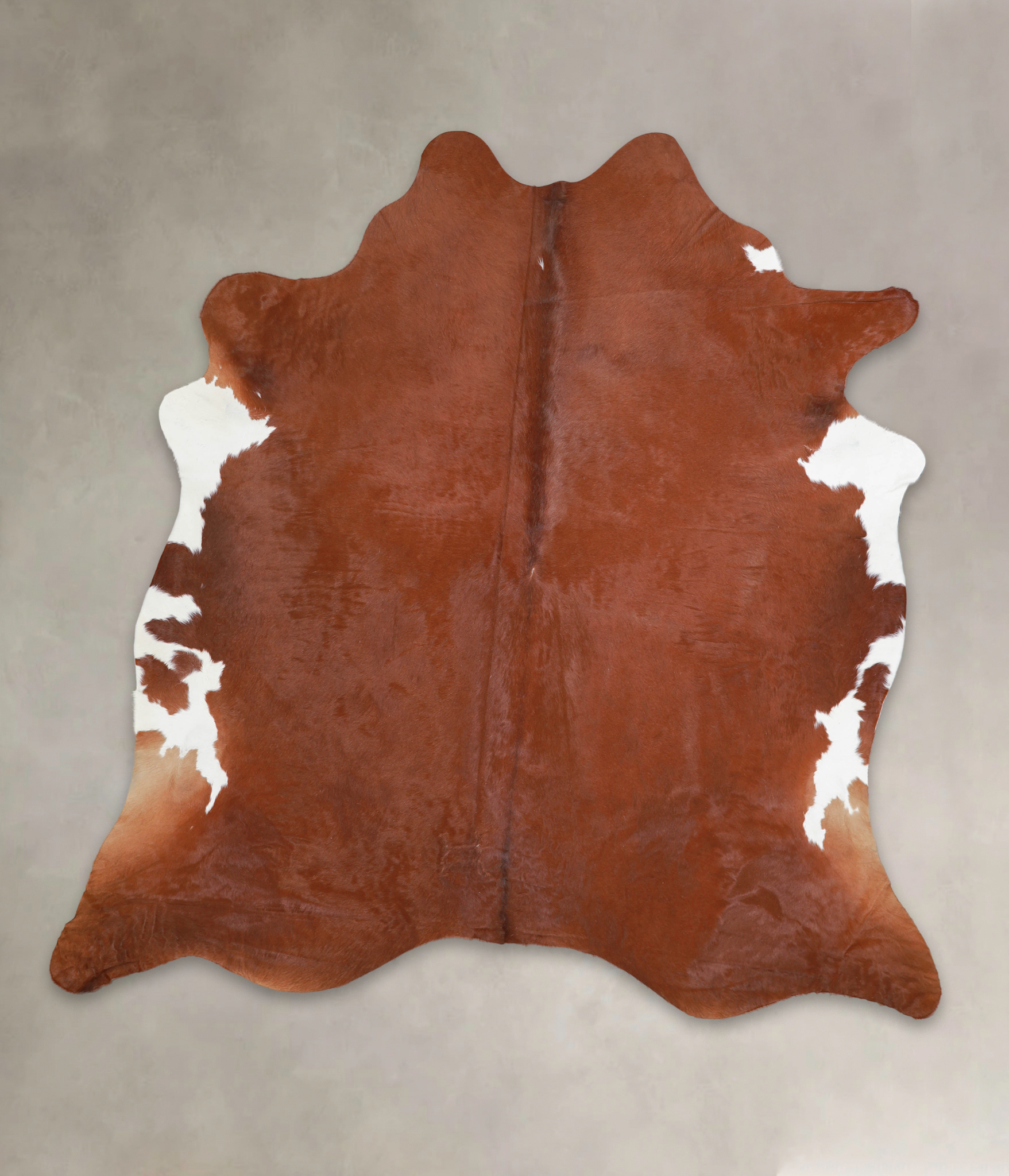 Brown and White Regular Cowhide Rug #A24354