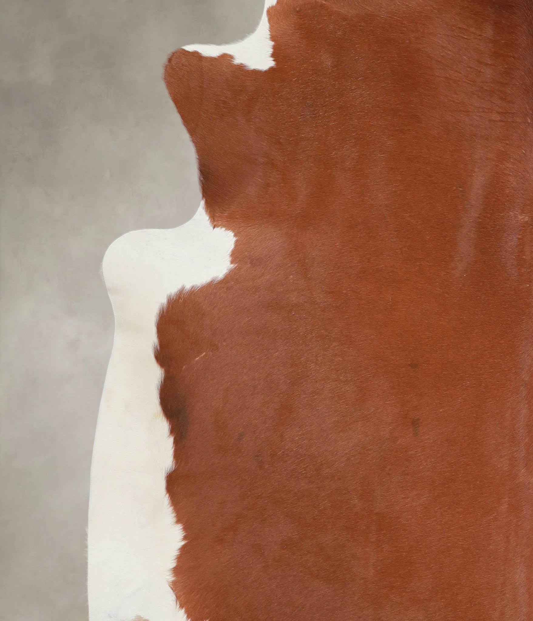 Brown and White Regular Cowhide Rug #A24366