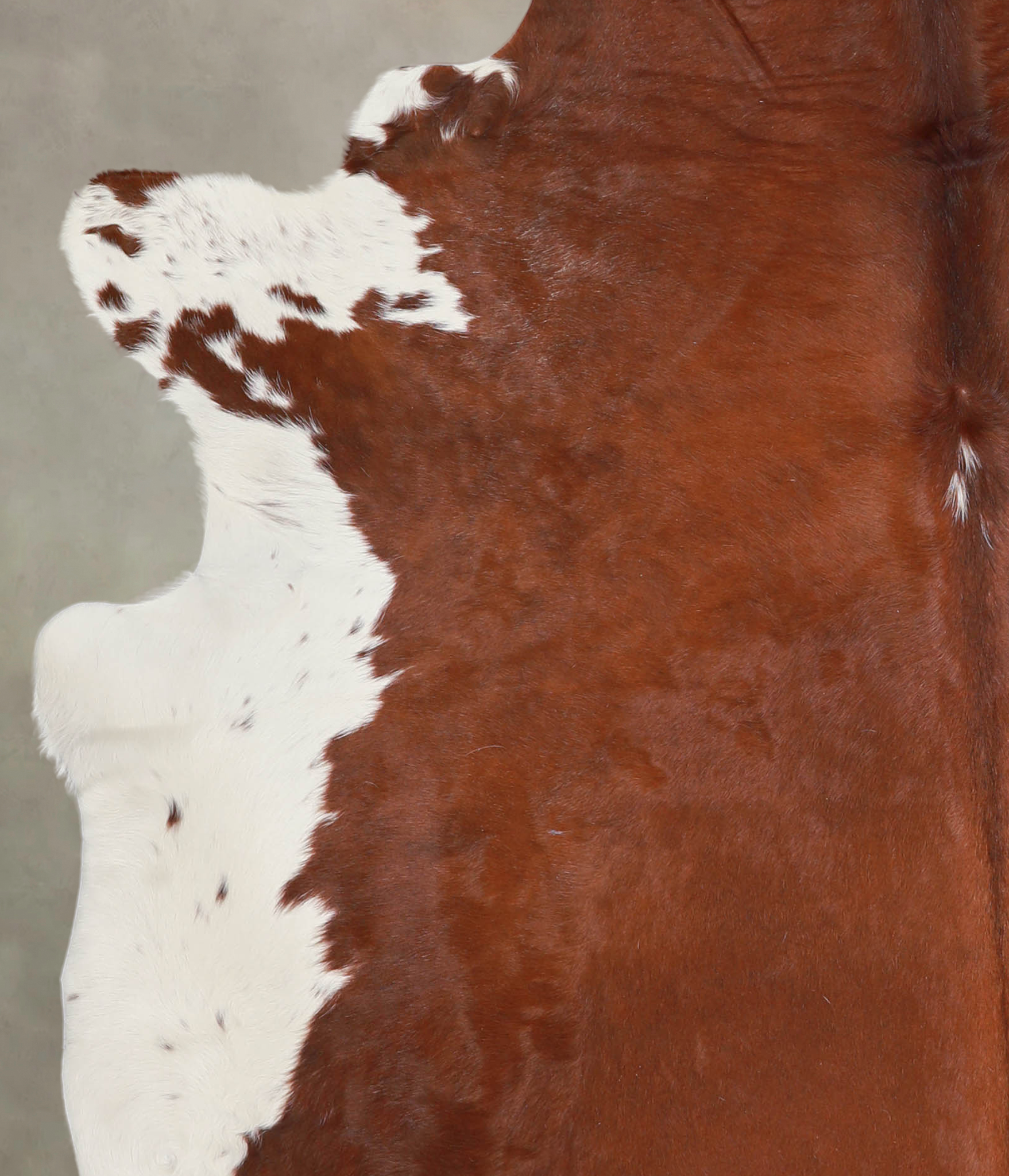 Brown and White Cowhide Rug #A24389