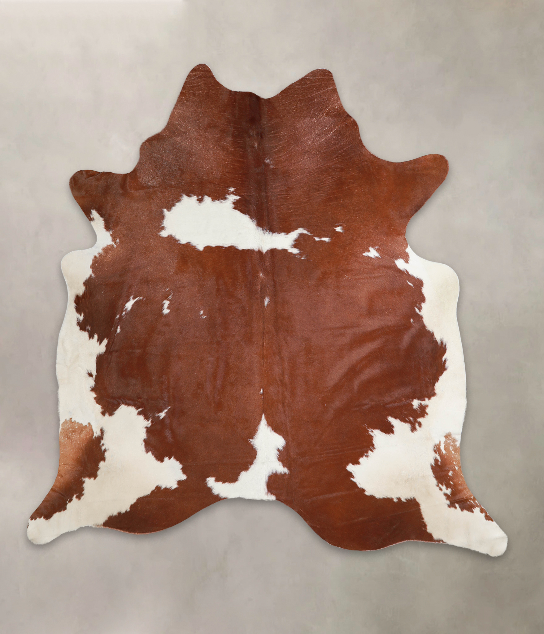 Brown and White Cowhide Rug #A24396