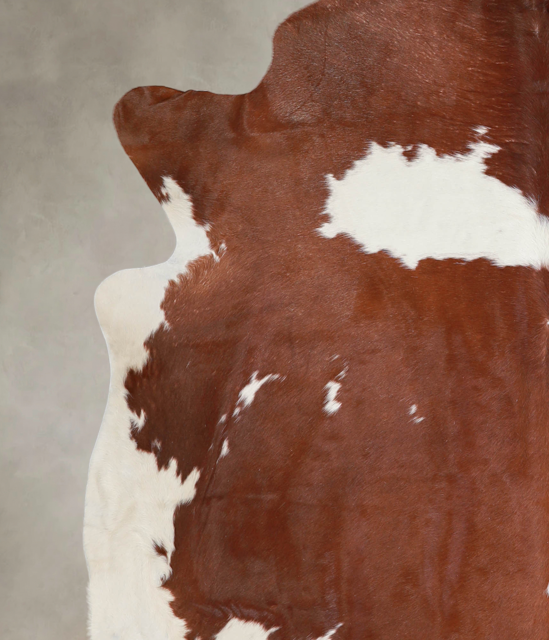 Brown and White Cowhide Rug #A24396