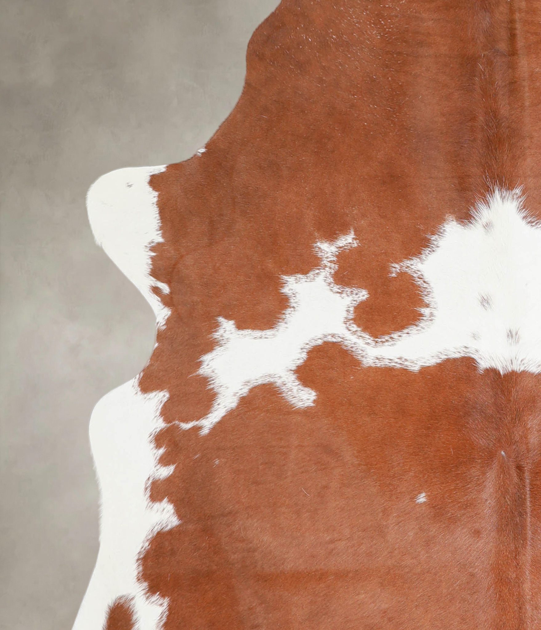 Brown and White Cowhide Rug #A24410