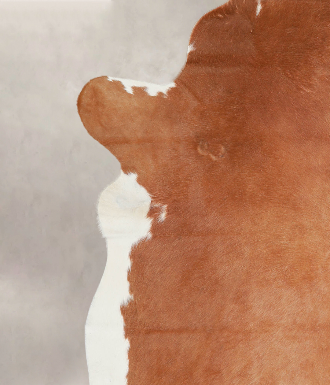 Brown and White Regular XX-Large Brazilian Cowhide Rug 8'5"H x 7'4"W #