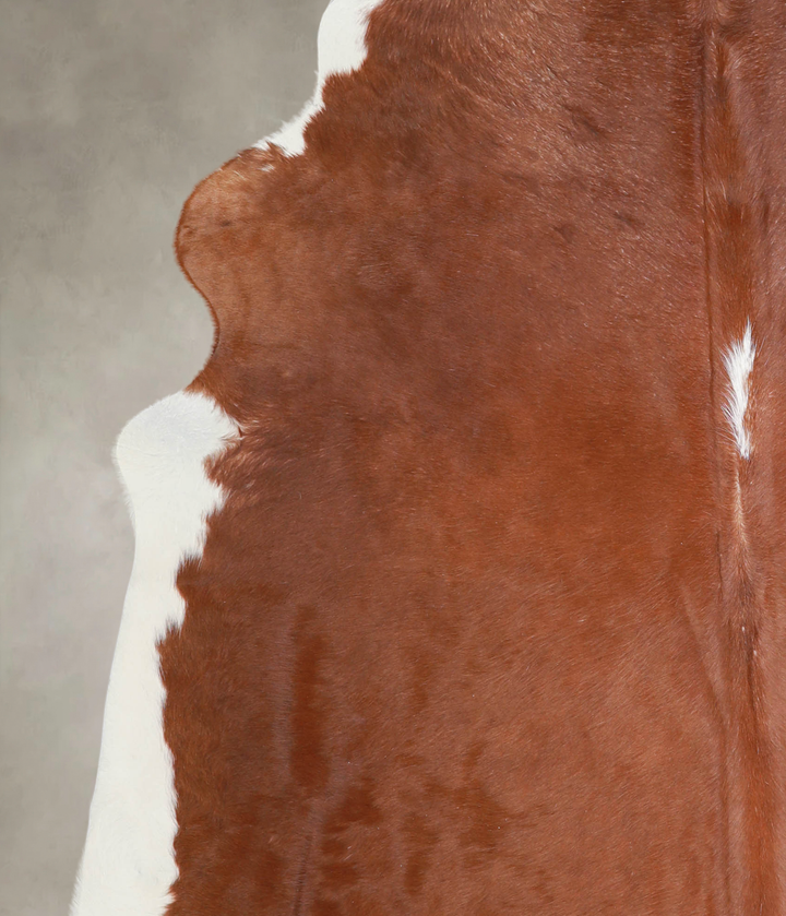 Brown and White Regular XX-Large Brazilian Cowhide Rug 7'7"H x 6'11"W #A25192 by Hudson Hides