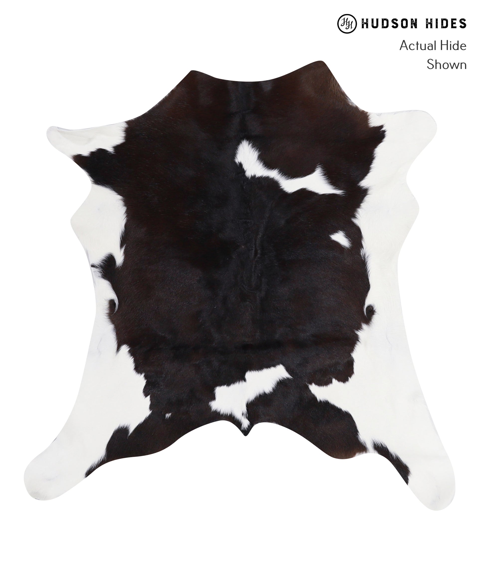 Calfhide Approx 2'3 A2534 by Hudson Hides Cowhides Direct