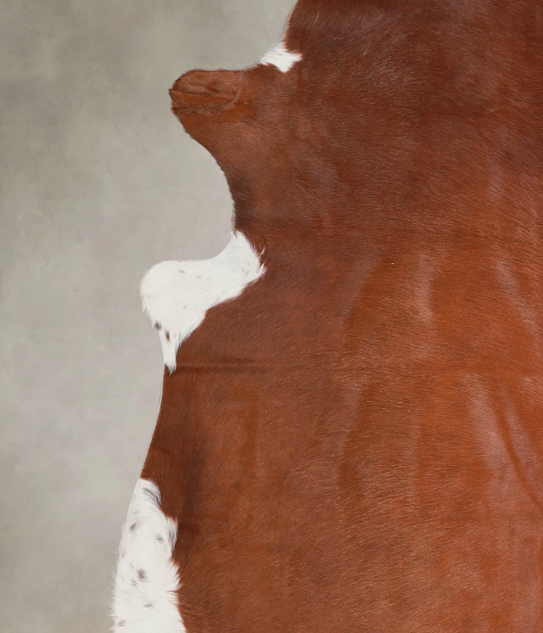 Brown and White Regular X-Large Brazilian Cowhide Rug 7'2"H x 6'7"W #A