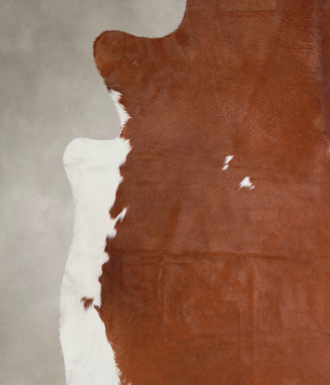 Brown and White Regular XX-Large Brazilian Cowhide Rug 7'2"H x 7'2"W #