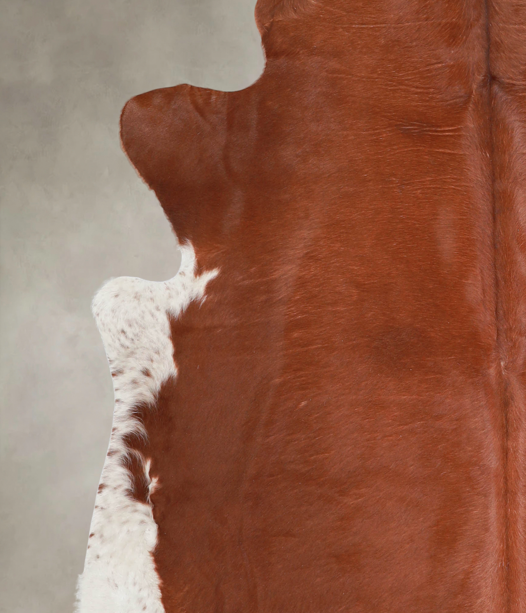 Brown and White Regular XX-Large Brazilian Cowhide Rug 7'2"H x 7'0"W #