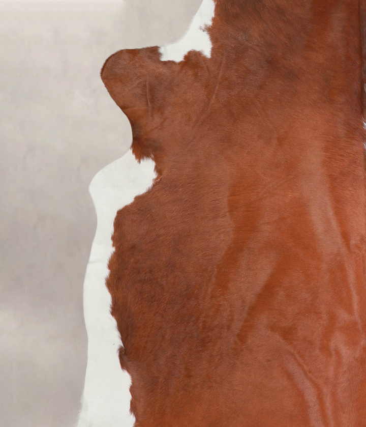 Brown and White Regular XX-Large Brazilian Cowhide Rug 7'6"H x 7'7"W #A25421 by Hudson Hides