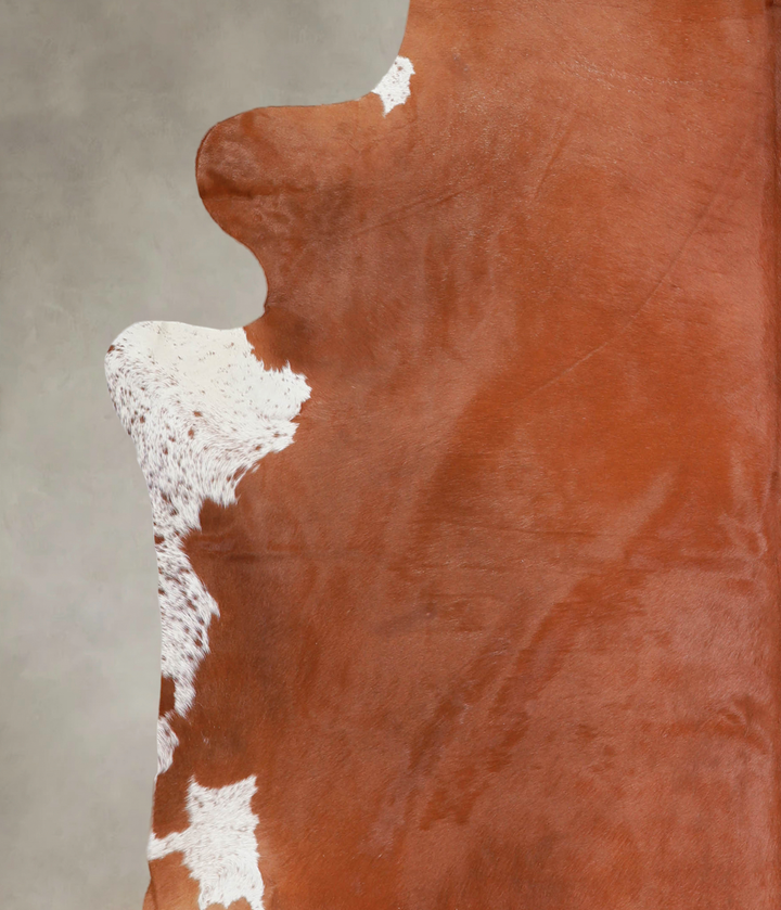 Brown and White Regular XX-Large Brazilian Cowhide Rug 7'10"H x 7'7"W #A25533 by Hudson Hides