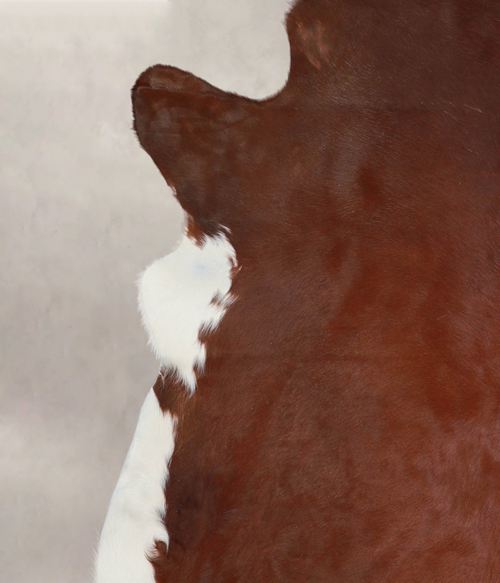 Brown and White Regular XX-Large Brazilian Cowhide Rug 7'8"H x 6'9"W #A25642 by Hudson Hides