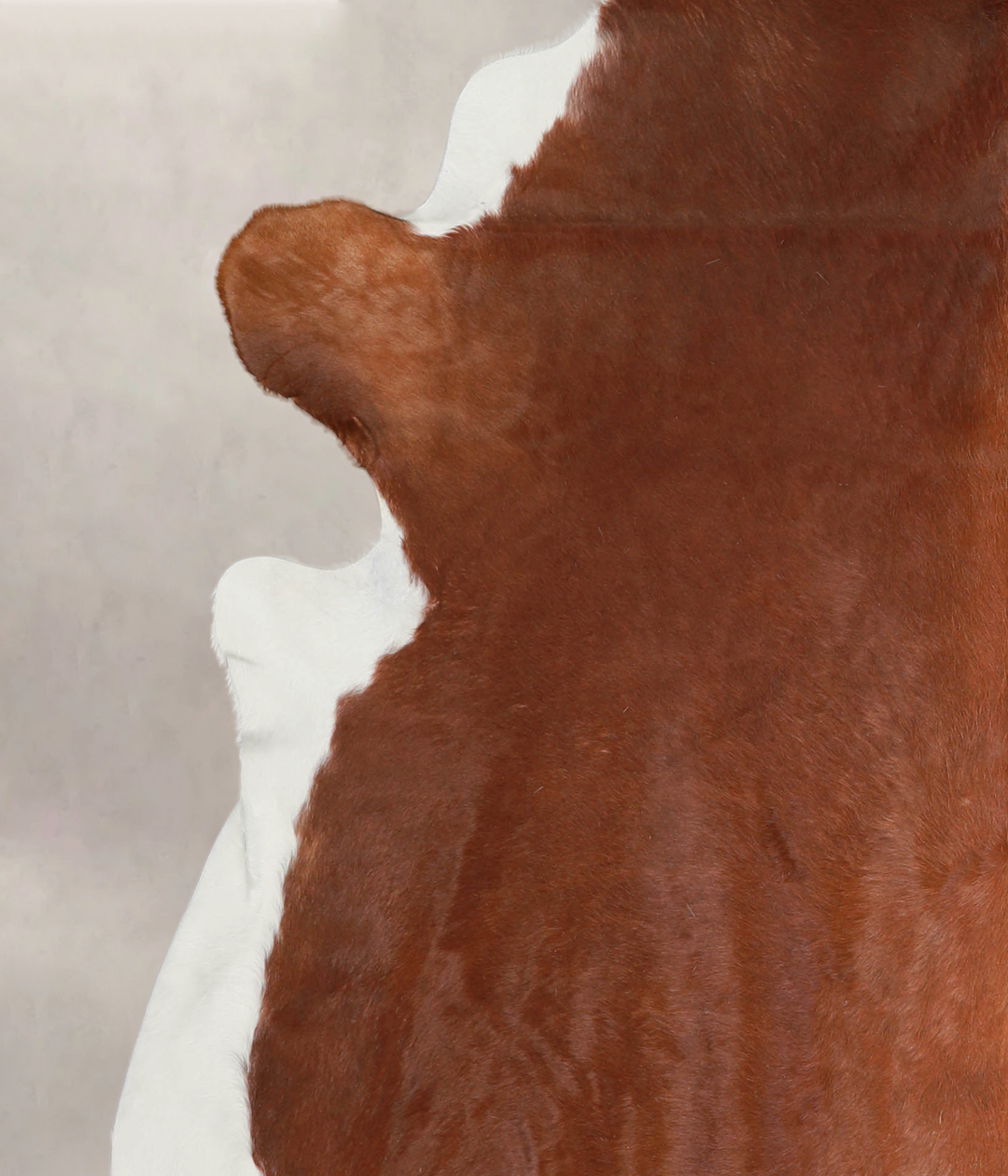 Brown and White Regular XX-Large Brazilian Cowhide Rug 7'8"H x 6'8"W #