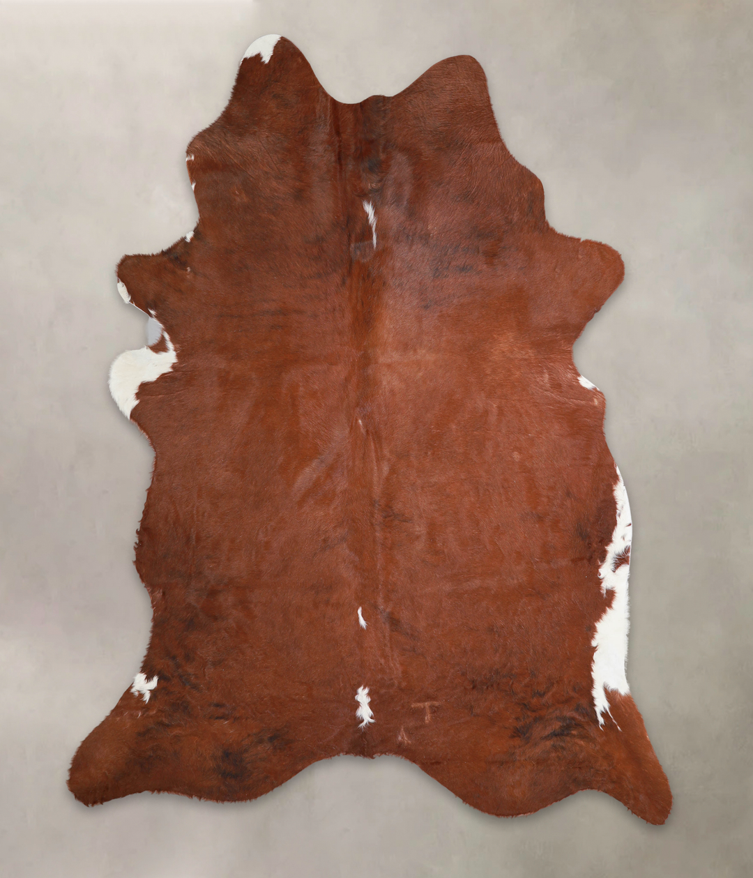 Brown and White Regular X-Large Brazilian Cowhide Rug 7'8"H x 5'10"W #