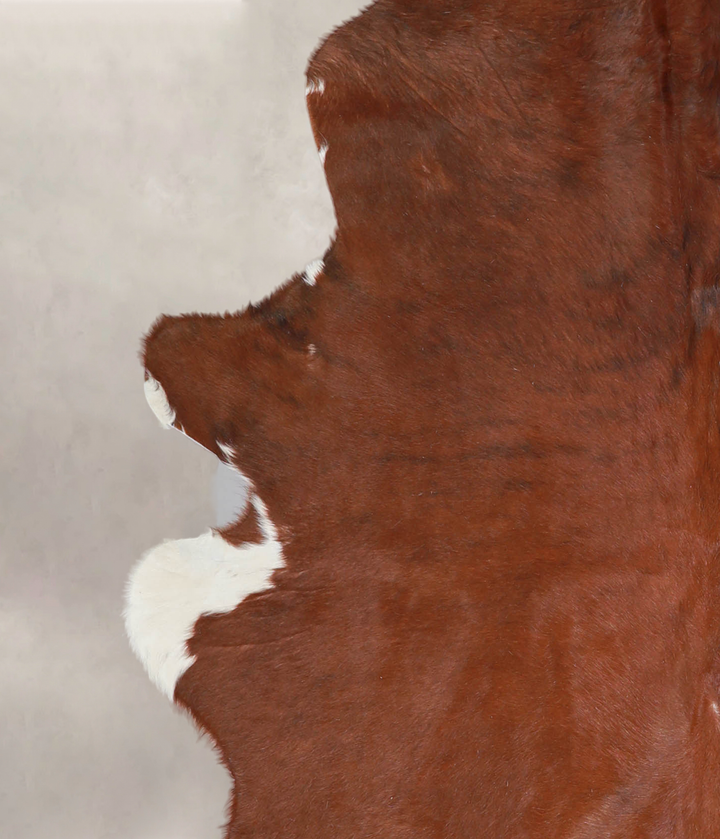 Brown and White Regular X-Large Brazilian Cowhide Rug 7'8"H x 5'10"W #A25710 by Hudson Hides