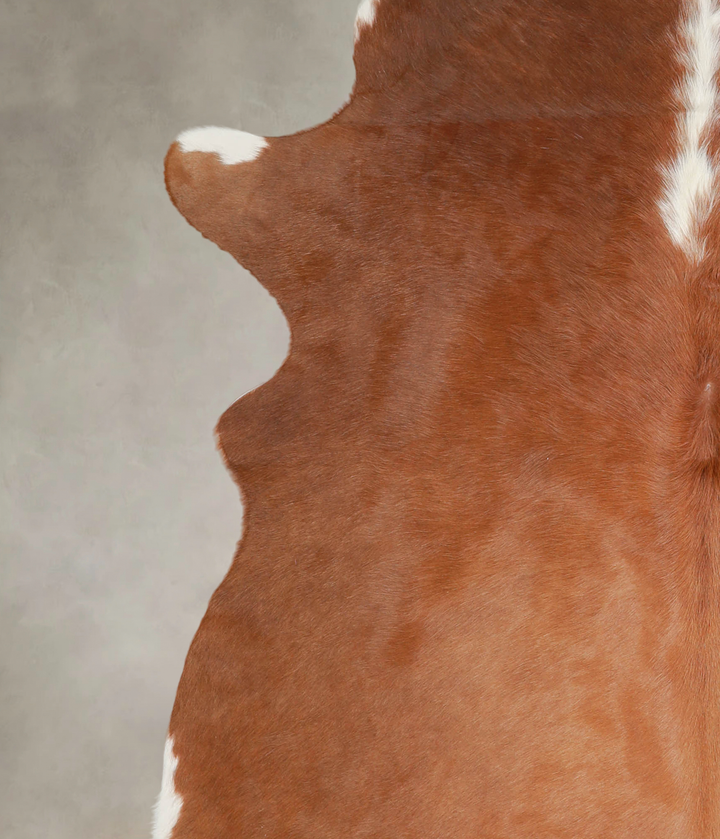 Brown and White Regular XX-Large Brazilian Cowhide Rug 7'5"H x 7'0"W #A25769 by Hudson Hides