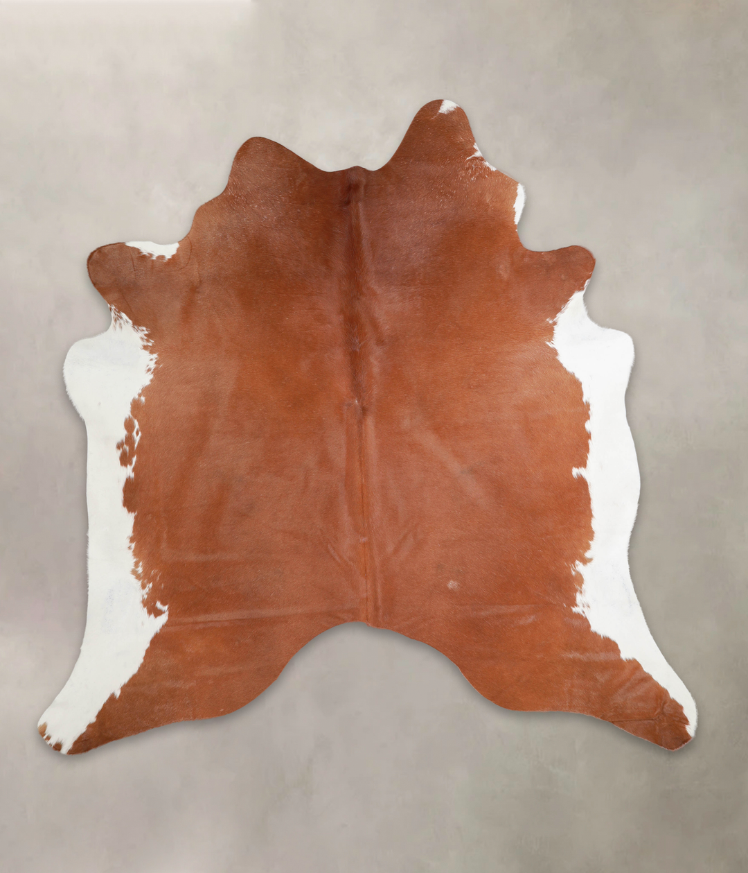Brown and White Regular XX-Large Brazilian Cowhide Rug 7'2"H x 7'1"W #