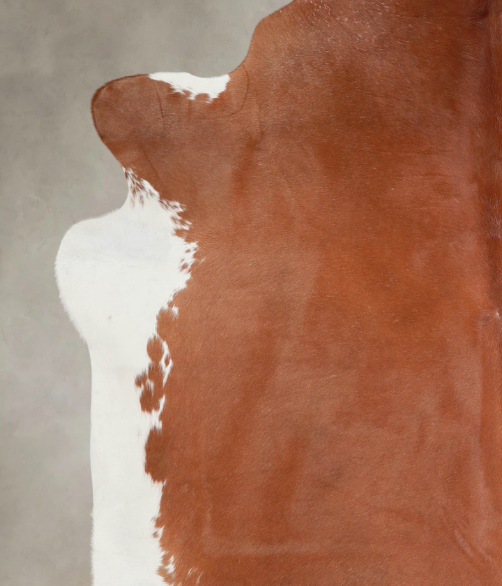 Brown and White Regular XX-Large Brazilian Cowhide Rug 7'2"H x 7'1"W #A25883 by Hudson Hides