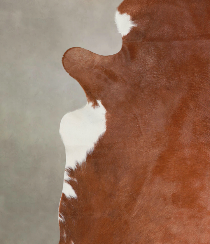 Brown and White Regular X-Large Brazilian Cowhide Rug 7'4"H x 6'8"W #A25970 by Hudson Hides