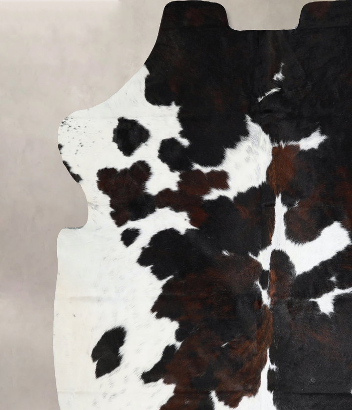 Tricolor X-Large European Cowhide Rug 7'3"H x 6'11"W #A26 by Hudson Hides