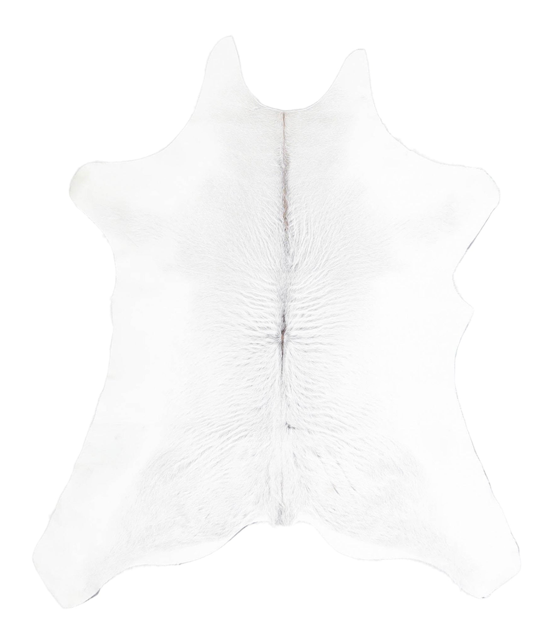 Calfhide Approx 2'3 A28370 by Hudson Hides Cowhides Direct