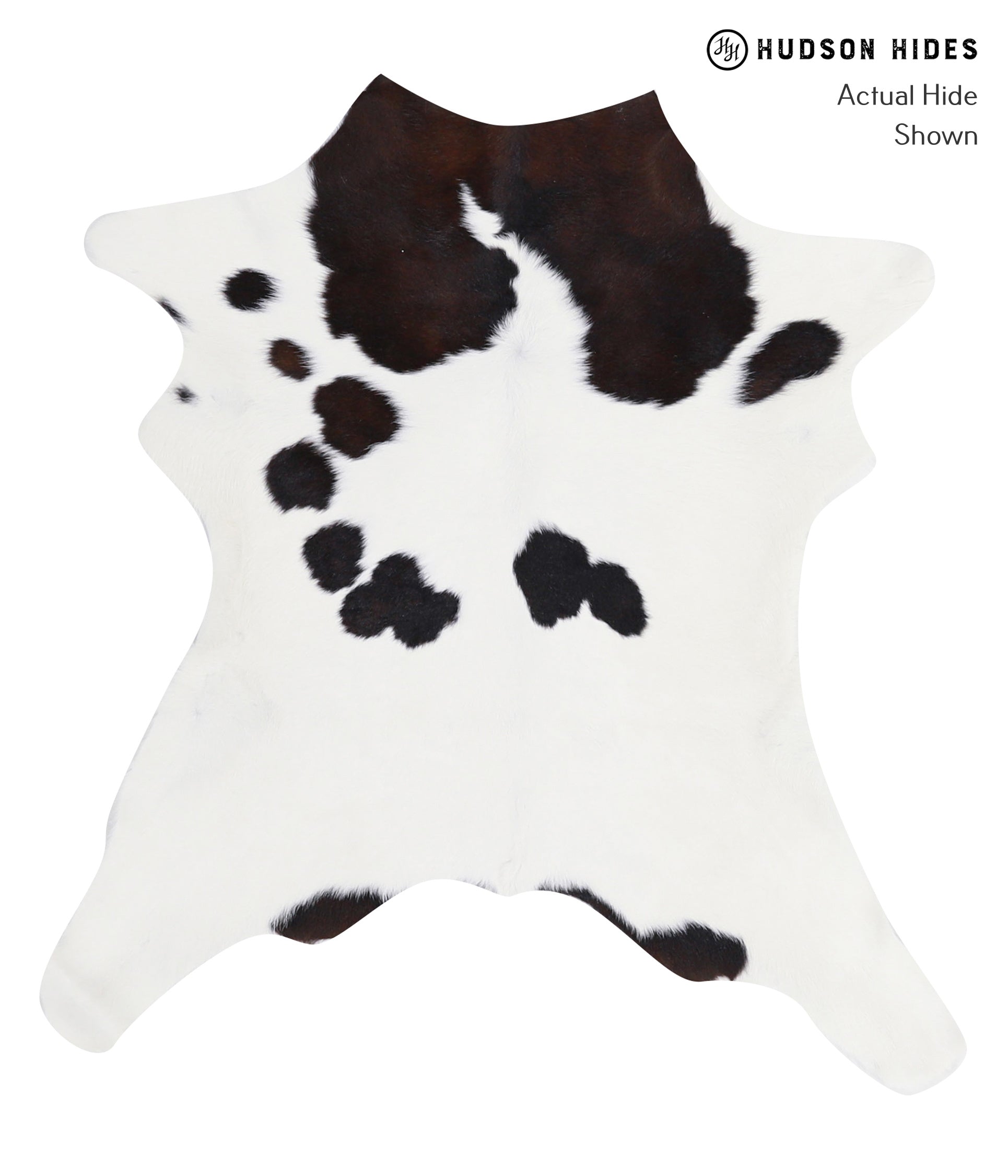 Calfhide Approx 2'3 A2872 by Hudson Hides Cowhides Direct